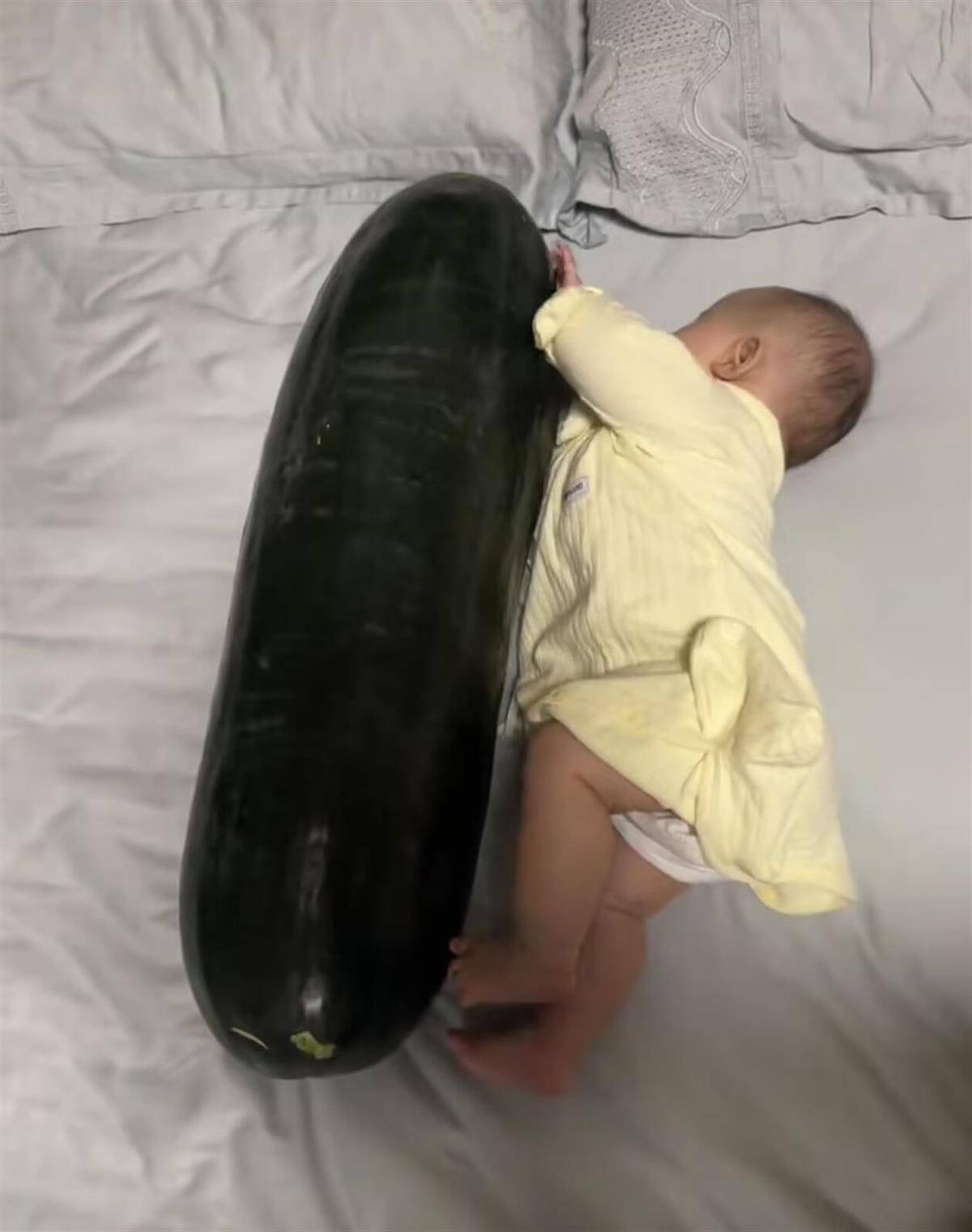 如何注册皇冠足球代理_男子在深圳购买28斤重的冬瓜带回香港如何注册皇冠足球代理，给3个月大的女儿当避暑玩具